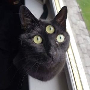 Meet your Posher, Michael a.